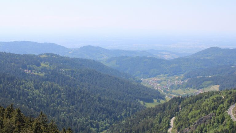 Dieses Bild zeigt eine Webcam-Aufnahme vom Achertal, aufgenommen am Mittwoch, den 14.05.2025 um 14:30 Uhr. Die Temperatur betrug 14.8°C.