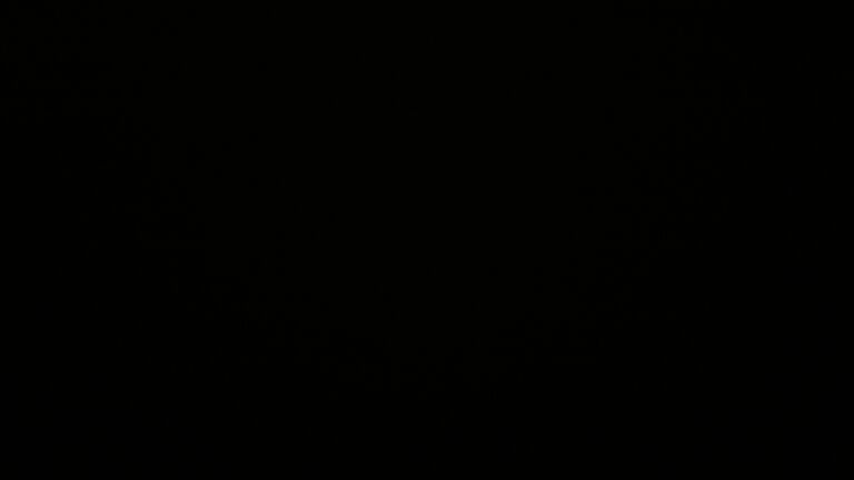 Dieses Bild zeigt eine Webcam-Aufnahme vom Achertal, aufgenommen am Mittwoch, den 26.11.2025 um 03:30 Uhr. Die Temperatur betrug -0.6°C.