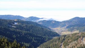 Dieses Bild zeigt eine Webcam-Aufnahme vom Achertal, aufgenommen am Donnerstag, den 05.02.2026 um 12:00 Uhr. Die Temperatur betrug 7.1°C.