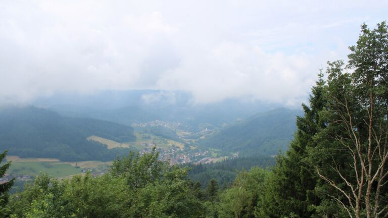 Dieses Bild zeigt eine Webcam-Aufnahme vom Achertal, aufgenommen am Mittwoch, den 01.07.2026 um 11:20 Uhr. Die Temperatur betrug 18°C.