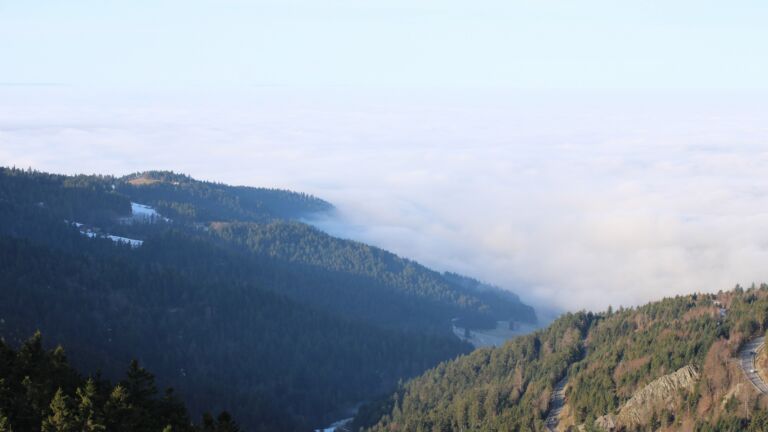 Dieses Bild zeigt eine Webcam-Aufnahme vom Achertal, aufgenommen am Sonntag, den 18.01.2026 um 10:40 Uhr. Die Temperatur betrug 7.3°C.