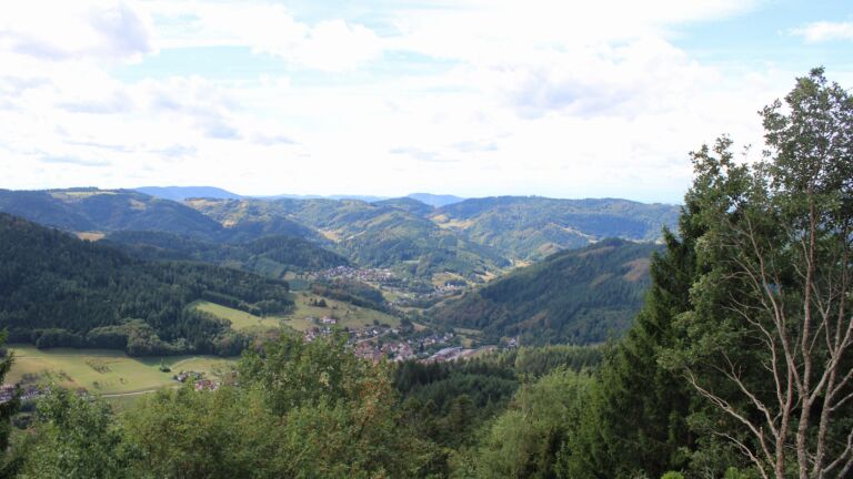 Dieses Bild zeigt eine Webcam-Aufnahme vom Achertal, aufgenommen am Samstag, den 29.08.2026 um 12:20 Uhr. Die Temperatur betrug 20.2°C.