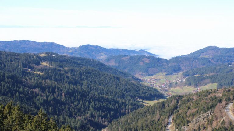 Dieses Bild zeigt eine Webcam-Aufnahme vom Achertal, aufgenommen am Mittwoch, den 25.02.2026 um 12:20 Uhr. Die Temperatur betrug 12.2°C.