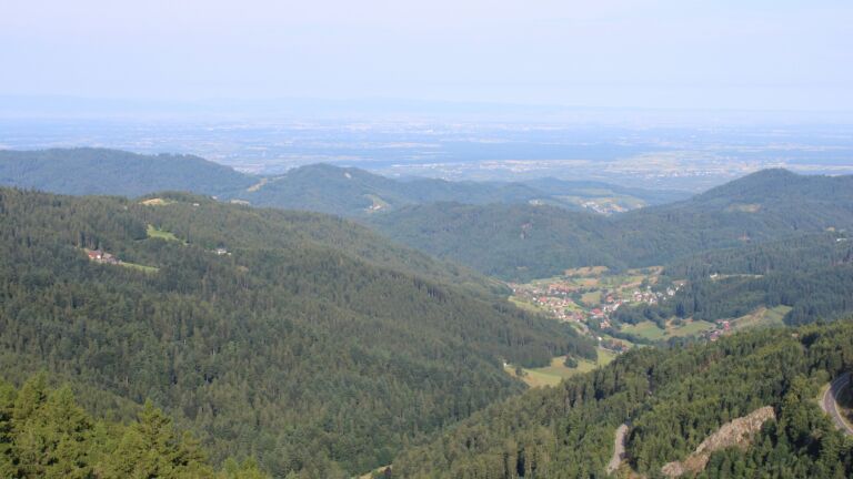 Dieses Bild zeigt eine Webcam-Aufnahme vom Achertal, aufgenommen am Sonntag, den 20.07.2025 um 08:50 Uhr. Die Temperatur betrug 22°C.
