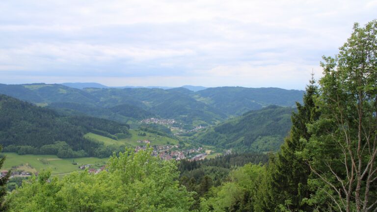 Dieses Bild zeigt eine Webcam-Aufnahme vom Achertal, aufgenommen am Mittwoch, den 13.05.2026 um 12:40 Uhr. Die Temperatur betrug 8.5°C.