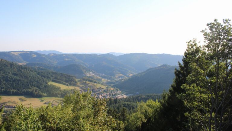 Dieses Bild zeigt eine Webcam-Aufnahme vom Achertal, aufgenommen am Freitag, den 14.08.2026 um 18:40 Uhr. Die Temperatur betrug 37.3°C.