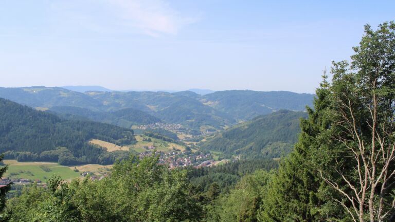 Dieses Bild zeigt eine Webcam-Aufnahme vom Achertal, aufgenommen am Freitag, den 26.06.2026 um 11:10 Uhr. Die Temperatur betrug 30.8°C.