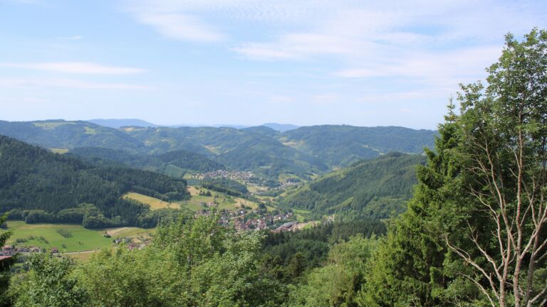 Dieses Bild zeigt eine Webcam-Aufnahme vom Achertal, aufgenommen am Mittwoch, den 17.06.2026 um 11:50 Uhr. Die Temperatur betrug 23.4°C.