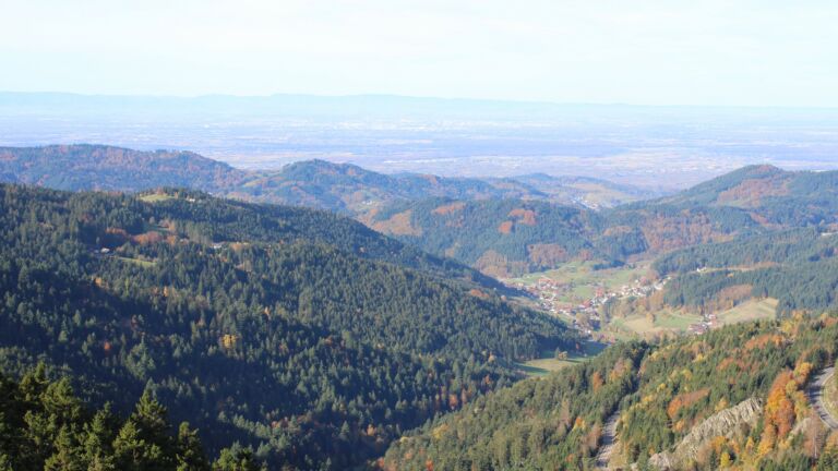 Dieses Bild zeigt eine Webcam-Aufnahme vom Achertal, aufgenommen am Mittwoch, den 29.10.2025 um 10:20 Uhr. Die Temperatur betrug 11.9°C.