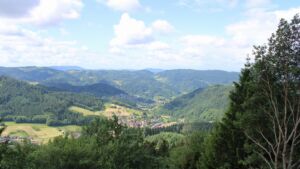 Dieses Bild zeigt eine Webcam-Aufnahme vom Achertal, aufgenommen am Freitag, den 05.06.2026 um 11:10 Uhr. Die Temperatur betrug 13.3°C.