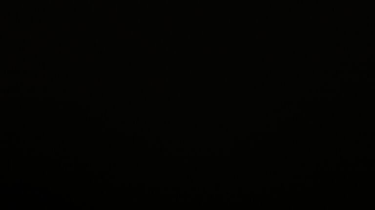 Dieses Bild zeigt eine Webcam-Aufnahme vom Achertal, aufgenommen am Freitag, den 09.01.2026 um 01:30 Uhr. Die Temperatur betrug 2.4°C.