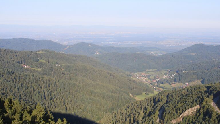 Dieses Bild zeigt eine Webcam-Aufnahme vom Achertal, aufgenommen am Dienstag, den 26.08.2025 um 08:20 Uhr. Die Temperatur betrug 16.6°C.