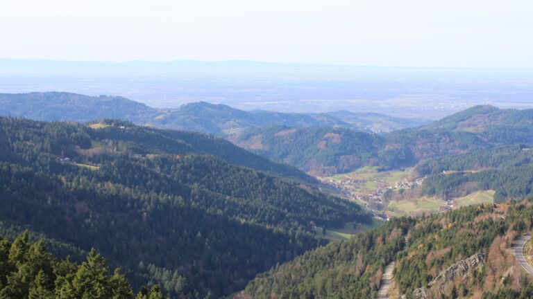 Dieses Bild zeigt eine Webcam-Aufnahme vom Achertal, aufgenommen am Donnerstag, den 13.11.2025 um 12:30 Uhr. Die Temperatur betrug 15.9°C.