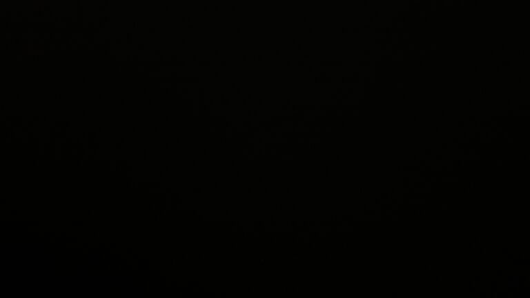 Dieses Bild zeigt eine Webcam-Aufnahme vom Achertal, aufgenommen am Donnerstag, den 05.06.2025 um 02:00 Uhr. Die Temperatur betrug 9.9°C.
