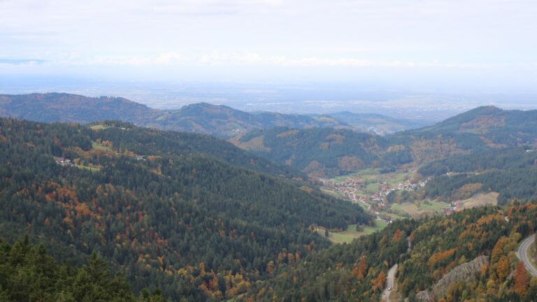 Dieses Bild zeigt eine Webcam-Aufnahme vom Achertal, aufgenommen am Freitag, den 17.10.2025 um 11:20 Uhr. Die Temperatur betrug 7.1°C.