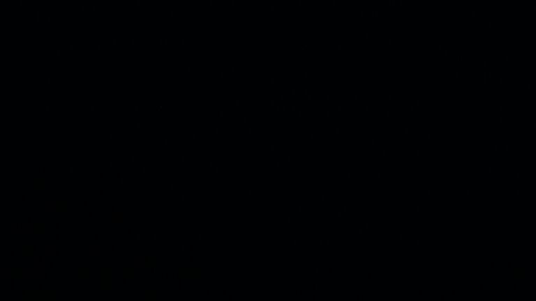 Dieses Bild zeigt eine Webcam-Aufnahme vom Achertal, aufgenommen am Montag, den 11.05.2026 um 04:20 Uhr. Die Temperatur betrug 8.8°C.