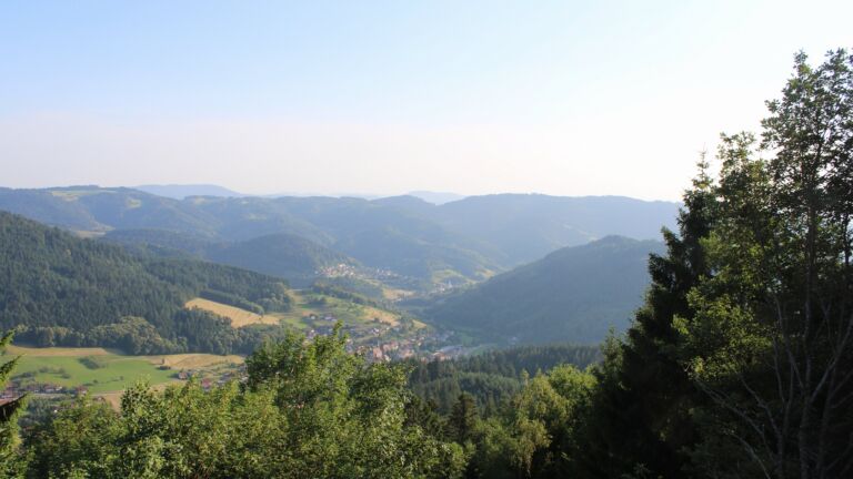 Dieses Bild zeigt eine Webcam-Aufnahme vom Achertal, aufgenommen am Donnerstag, den 25.06.2026 um 19:30 Uhr. Die Temperatur betrug 35°C.