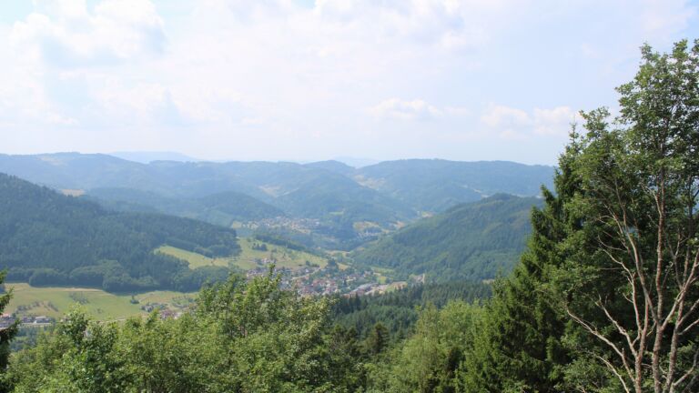 Dieses Bild zeigt eine Webcam-Aufnahme vom Achertal, aufgenommen am Samstag, den 18.07.2026 um 12:50 Uhr. Die Temperatur betrug 23.9°C.