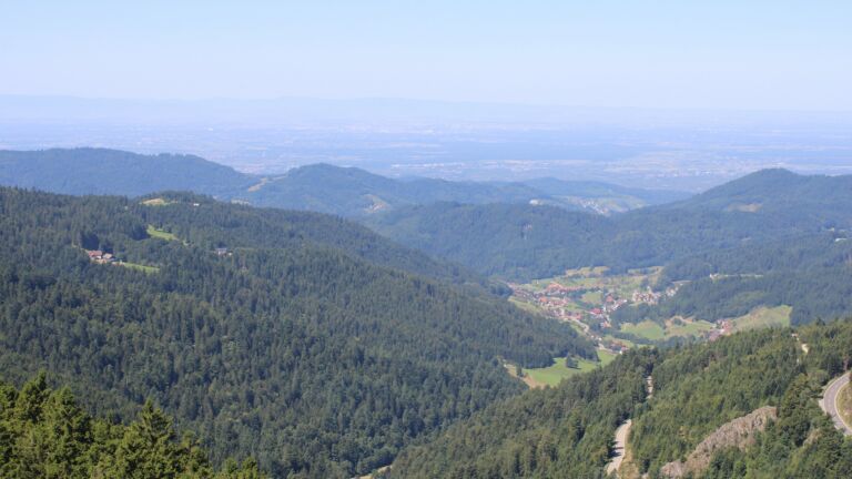 Dieses Bild zeigt eine Webcam-Aufnahme vom Achertal, aufgenommen am Freitag, den 08.08.2025 um 12:10 Uhr. Die Temperatur betrug 22°C.