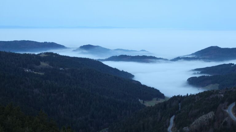 Dieses Bild zeigt eine Webcam-Aufnahme vom Achertal, aufgenommen am Dienstag, den 16.12.2025 um 08:00 Uhr. Die Temperatur betrug 8.1°C.