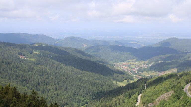 Dieses Bild zeigt eine Webcam-Aufnahme vom Achertal, aufgenommen am Donnerstag, den 29.05.2025 um 11:10 Uhr. Die Temperatur betrug 12.2°C.