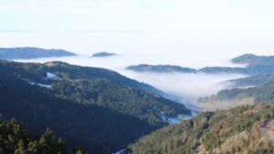 Dieses Bild zeigt eine Webcam-Aufnahme vom Achertal, aufgenommen am Dienstag, den 20.01.2026 um 11:20 Uhr. Die Temperatur betrug 8.6°C.