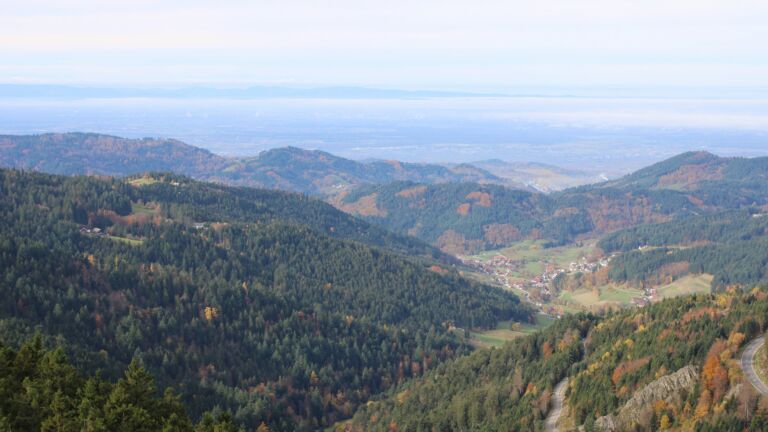 Dieses Bild zeigt eine Webcam-Aufnahme vom Achertal, aufgenommen am Freitag, den 31.10.2025 um 10:30 Uhr. Die Temperatur betrug 10.6°C.