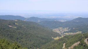 Dieses Bild zeigt eine Webcam-Aufnahme vom Achertal, aufgenommen am Samstag, den 05.07.2025 um 09:50 Uhr. Die Temperatur betrug 19.3°C.