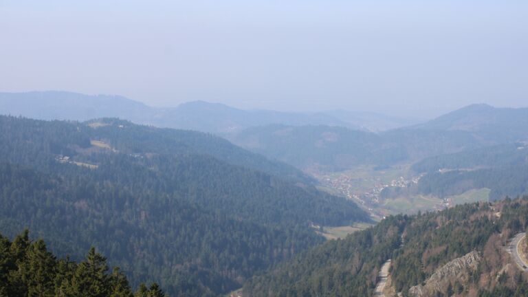 Dieses Bild zeigt eine Webcam-Aufnahme vom Achertal, aufgenommen am Sonntag, den 08.03.2026 um 11:30 Uhr. Die Temperatur betrug 12.9°C.