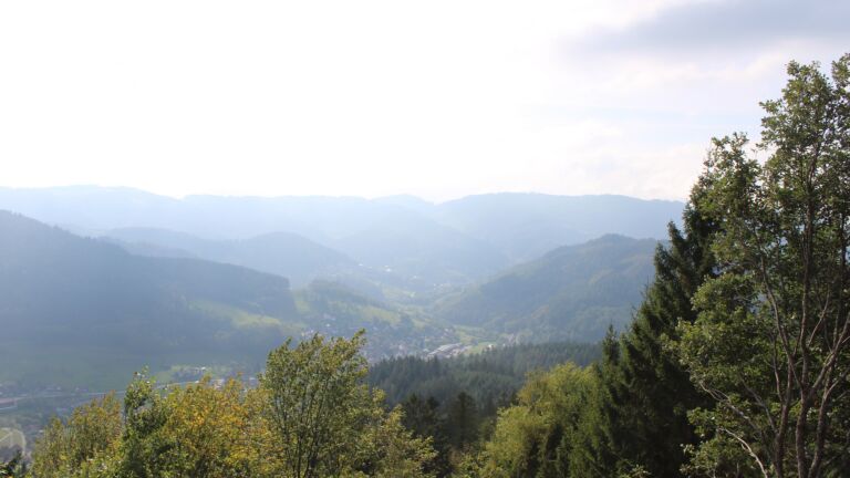 Dieses Bild zeigt eine Webcam-Aufnahme vom Achertal, aufgenommen am Montag, den 19.10.2026 um 14:30 Uhr. Die Temperatur betrug 13.5°C.