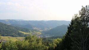 Dieses Bild zeigt eine Webcam-Aufnahme vom Achertal, aufgenommen am Dienstag, den 14.07.2026 um 19:50 Uhr. Die Temperatur betrug 29.8°C.