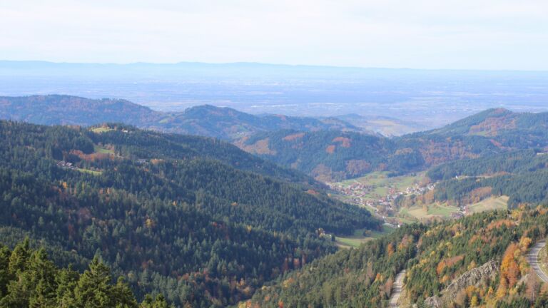 Dieses Bild zeigt eine Webcam-Aufnahme vom Achertal, aufgenommen am Mittwoch, den 29.10.2025 um 12:10 Uhr. Die Temperatur betrug 12.2°C.