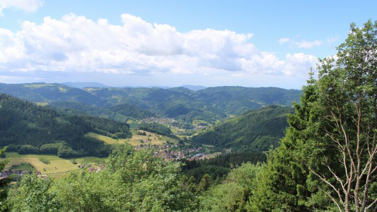 Dieses Bild zeigt eine Webcam-Aufnahme vom Achertal, aufgenommen am Freitag, den 05.06.2026 um 12:20 Uhr. Die Temperatur betrug 15°C.