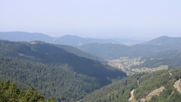 Dieses Bild zeigt eine Webcam-Aufnahme vom Achertal, aufgenommen am Freitag, den 15.08.2025 um 11:00 Uhr. Die Temperatur betrug 29.2°C.