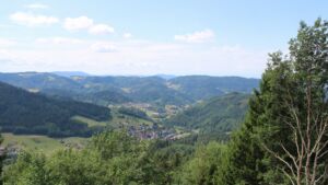 Dieses Bild zeigt eine Webcam-Aufnahme vom Achertal, aufgenommen am Freitag, den 17.07.2026 um 12:50 Uhr. Die Temperatur betrug 24.8°C.