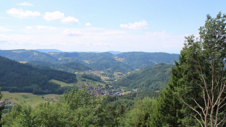 Dieses Bild zeigt eine Webcam-Aufnahme vom Achertal, aufgenommen am Freitag, den 17.07.2026 um 12:50 Uhr. Die Temperatur betrug 24.8°C.