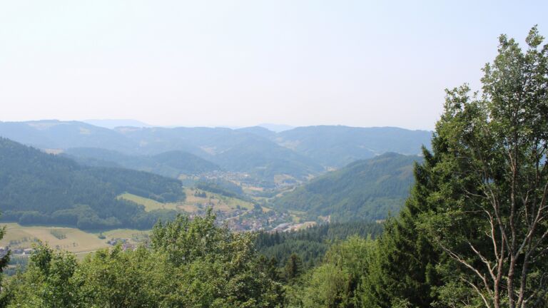 Dieses Bild zeigt eine Webcam-Aufnahme vom Achertal, aufgenommen am Donnerstag, den 30.07.2026 um 13:20 Uhr. Die Temperatur betrug 34.8°C.