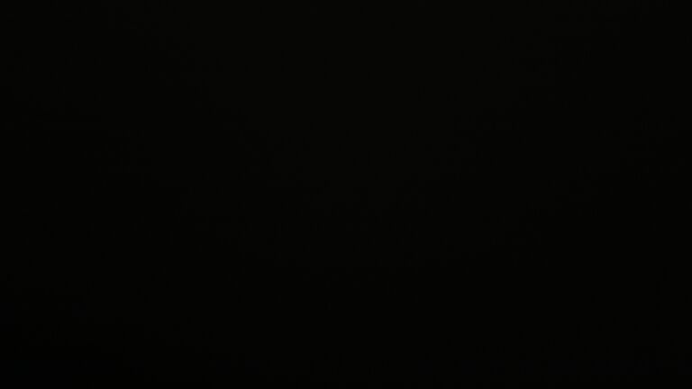 Dieses Bild zeigt eine Webcam-Aufnahme vom Achertal, aufgenommen am Freitag, den 09.01.2026 um 02:30 Uhr. Die Temperatur betrug 2.4°C.