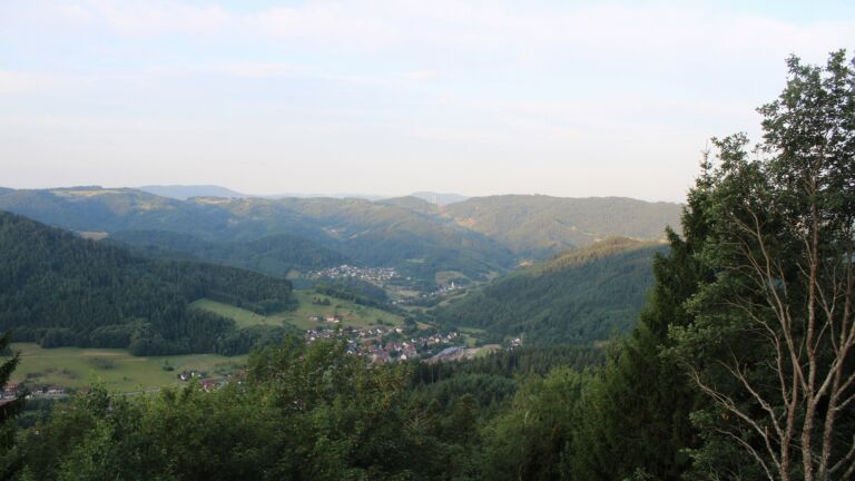 Dieses Bild zeigt eine Webcam-Aufnahme vom Achertal, aufgenommen am Donnerstag, den 23.07.2026 um 06:40 Uhr. Die Temperatur betrug 11.8°C.