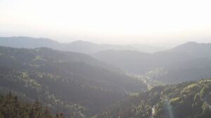 Dieses Bild zeigt eine Webcam-Aufnahme vom Achertal, aufgenommen am Samstag, den 25.04.2026 um 19:30 Uhr. Die Temperatur betrug 13.9°C.