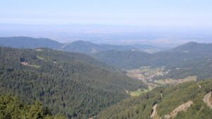 Dieses Bild zeigt eine Webcam-Aufnahme vom Achertal, aufgenommen am Dienstag, den 26.08.2025 um 09:50 Uhr. Die Temperatur betrug 16.9°C.