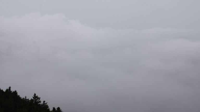 Dieses Bild zeigt eine Webcam-Aufnahme vom Achertal, aufgenommen am Mittwoch, den 20.08.2025 um 12:40 Uhr. Die Temperatur betrug 16.5°C.