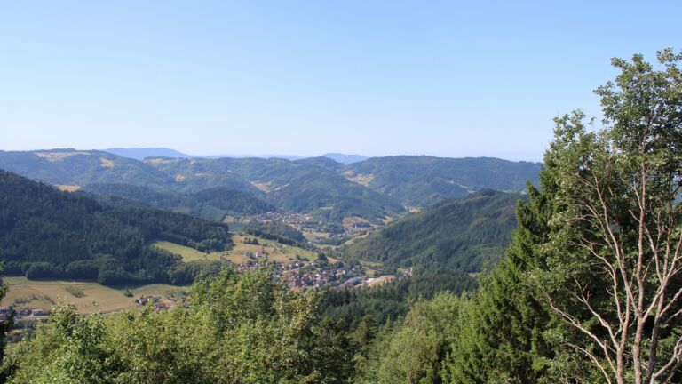 Dieses Bild zeigt eine Webcam-Aufnahme vom Achertal, aufgenommen am Freitag, den 07.08.2026 um 11:40 Uhr. Die Temperatur betrug 22.5°C.