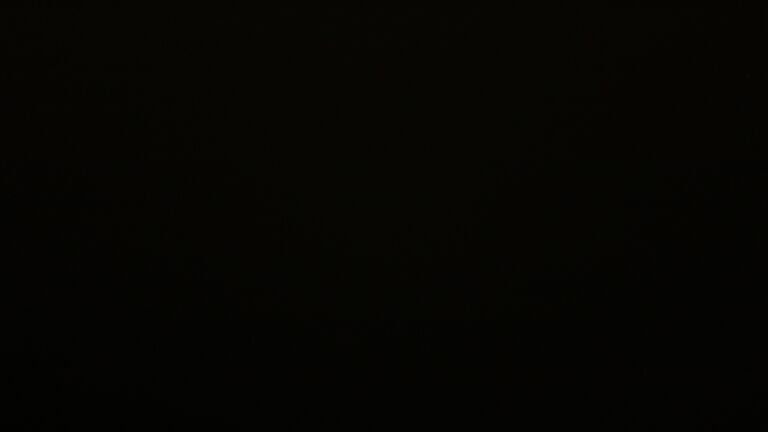 Dieses Bild zeigt eine Webcam-Aufnahme vom Achertal, aufgenommen am Freitag, den 28.11.2025 um 05:00 Uhr. Die Temperatur betrug 0.6°C.