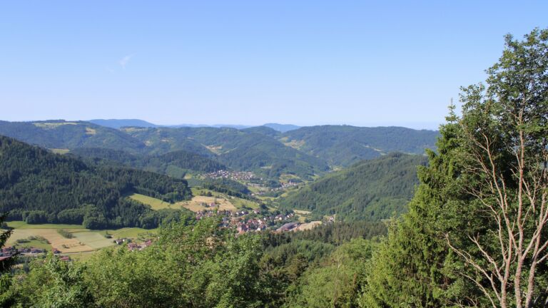 Dieses Bild zeigt eine Webcam-Aufnahme vom Achertal, aufgenommen am Freitag, den 29.05.2026 um 10:00 Uhr. Die Temperatur betrug 24°C.