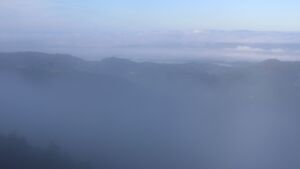 Dieses Bild zeigt eine Webcam-Aufnahme vom Achertal, aufgenommen am Donnerstag, den 11.12.2025 um 09:50 Uhr. Die Temperatur betrug 4.8°C.