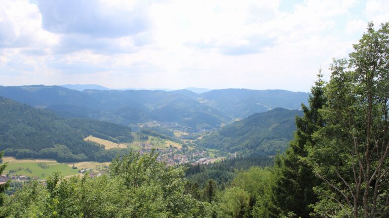 Dieses Bild zeigt eine Webcam-Aufnahme vom Achertal, aufgenommen am Dienstag, den 30.06.2026 um 14:50 Uhr. Die Temperatur betrug 30.1°C.