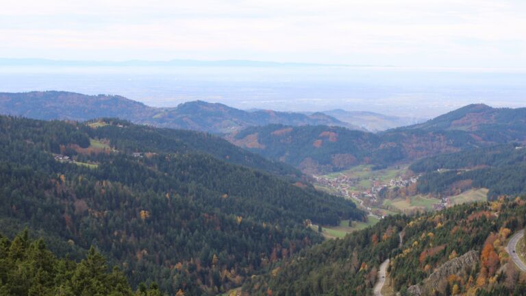 Dieses Bild zeigt eine Webcam-Aufnahme vom Achertal, aufgenommen am Freitag, den 31.10.2025 um 12:50 Uhr. Die Temperatur betrug 11°C.