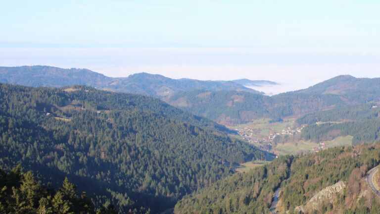 Dieses Bild zeigt eine Webcam-Aufnahme vom Achertal, aufgenommen am Donnerstag, den 26.02.2026 um 09:30 Uhr. Die Temperatur betrug 10.8°C.