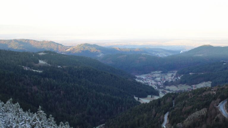 Dieses Bild zeigt eine Webcam-Aufnahme vom Achertal, aufgenommen am Montag, den 01.12.2025 um 08:30 Uhr. Die Temperatur betrug 0.2°C.